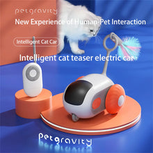 Remote Control Interactive Cat Toy