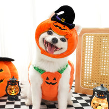 1 Set Halloween Cat Costumes Pumpkin Cute Cat Hat Scarf Clothes for Small Dogs Pet Cosplay Gift