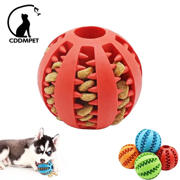 Interactive Elastic Chew Ball