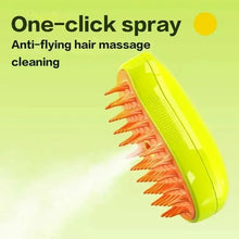 Steamy Grooming Brush