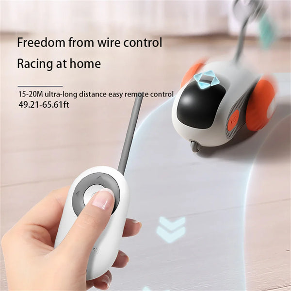 Remote Control Interactive Cat Toy