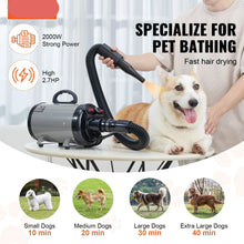 Powerful Pet Grooming Essential