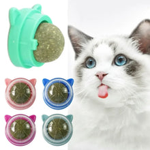 Natural Catnip Rotatable Wall Ball