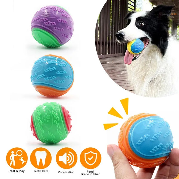 Squeaky Ball Toy