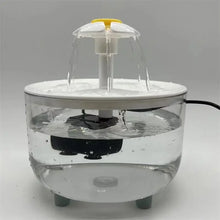 Transparent Water Fountain Dispenser