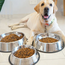 Stainless Steel Feeding Bowls