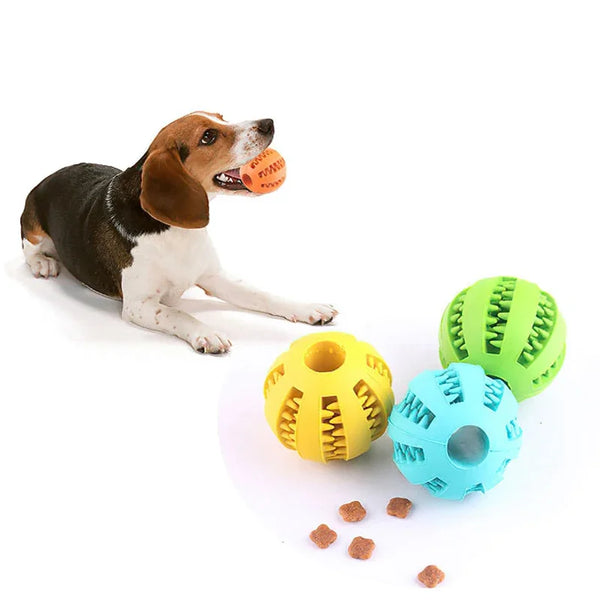 Interactive Elastic Chew Ball