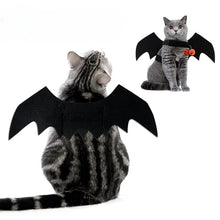 Halloween Small Pets Clothes Hat Bat Wings Funny Cat Dog Cosplay Costume Artificial Wing with Pumpkin Bells Halloween Supplies