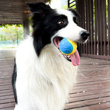 Squeaky Ball Toy