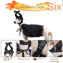 Halloween Dog Cloak with Hat Sleeping Curse Female Cloak Cat Hat Pet Clothing Supplies Dog Decoration