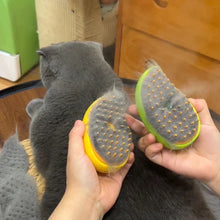 Steamy Grooming Brush