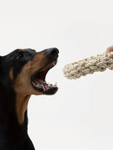 Durable Pet Rope Toy