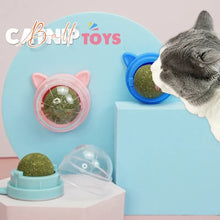 Natural Catnip Rotatable Wall Ball