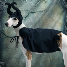 Halloween Dog Cloak with Hat Sleeping Curse Female Cloak Cat Hat Pet Clothing Supplies Dog Decoration