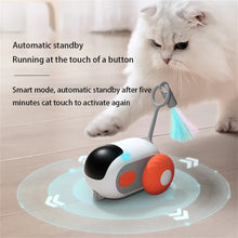 Remote Control Interactive Cat Toy