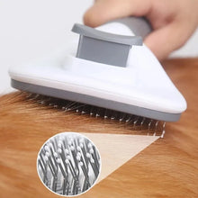 Efficient Hair Remover Brush