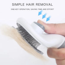 Efficient Hair Remover Brush