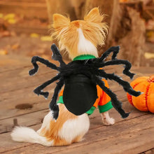 Halloween Pet Spider Costume Simulation Black Spooky Spider Clothes Dressing For Dogs Cats Party Cosplay Props Funny Outfit