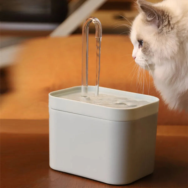 Automatic Water Dispenser