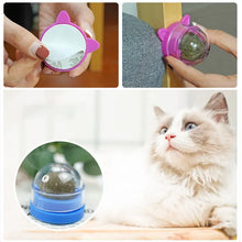 Natural Catnip Rotatable Wall Ball