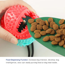 Large Dog Interactive Chew Bal