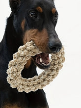 Durable Pet Rope Toy