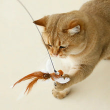 Hands-Free Cat Wand with Feather