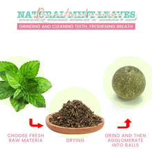 Natural Catnip Rotatable Wall Ball